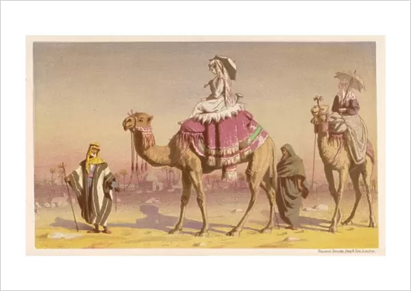 Tourists on Camels 1869