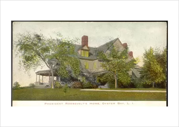 Roosevelt home Oysterbay
