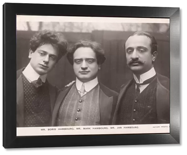 Three Hambourgs  /  1909