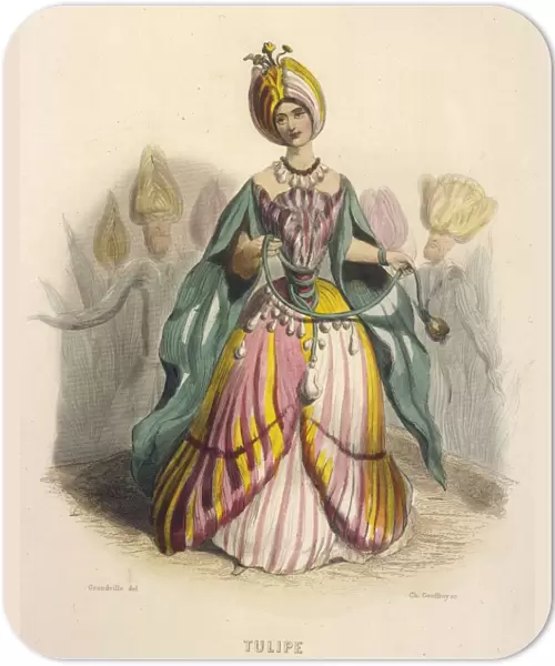 Grandville Tulip 1847