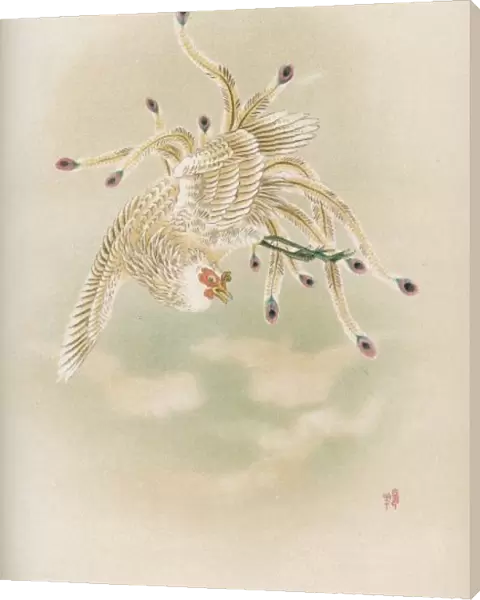 Feng-Hwang Bird