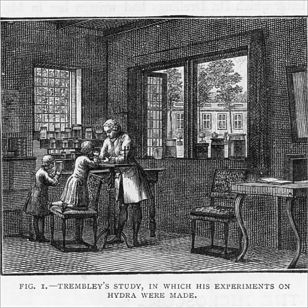 Trembley in his Study