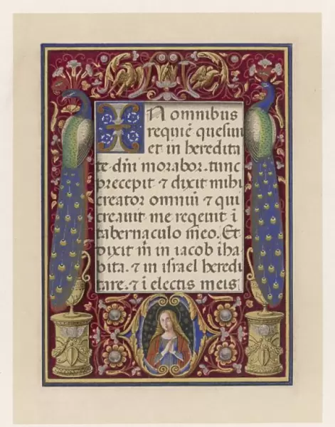 Ms - Book of Hours