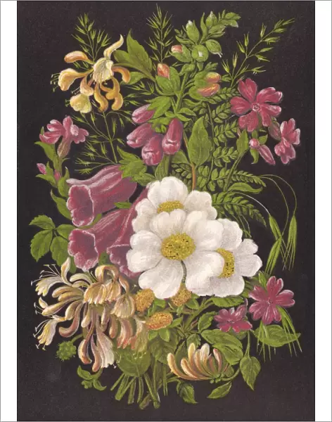 Summer Flowers 1880