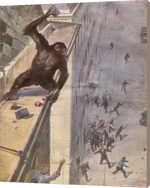 Escaping Monkey  /  1932