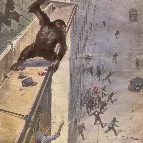 Escaping Monkey  /  1932
