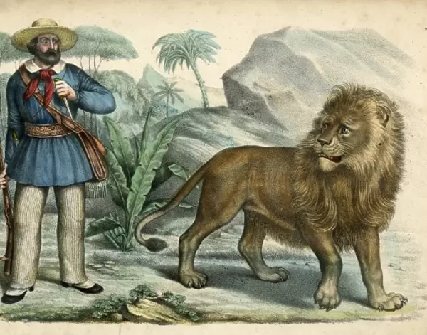 Hunter and Daring Lion