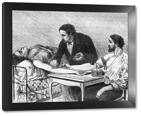 Blood Transfusion  /  1882