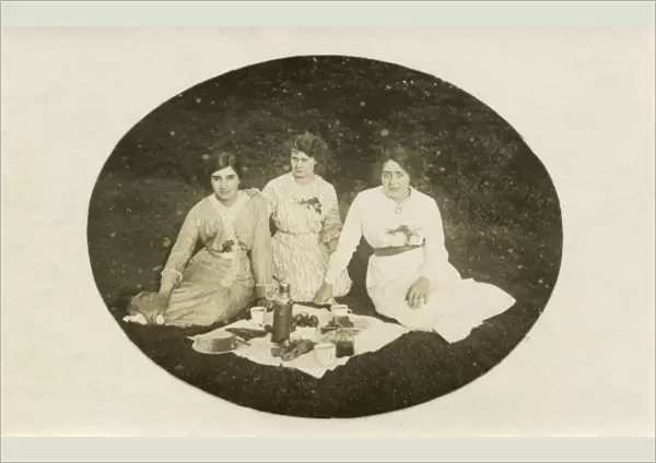 Three Ladies Picnic