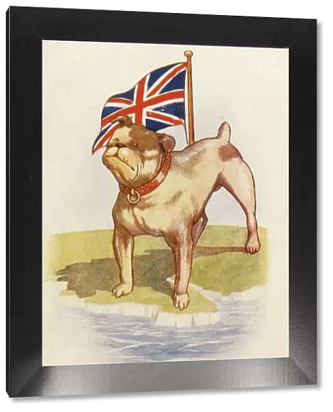 Bulldog and Union Jack