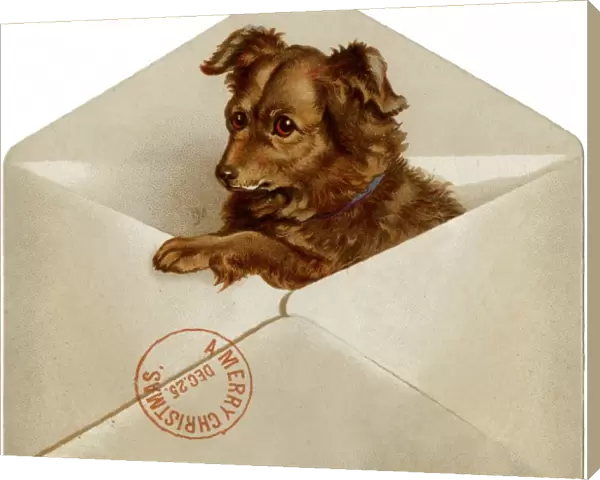 Xmas Dog in Envelope