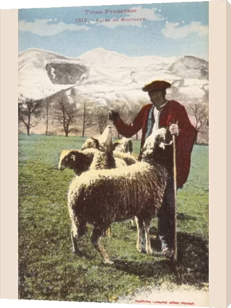 Pyrenean Shepherd and his flock