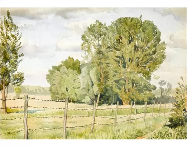 Country scene with trees and fields
