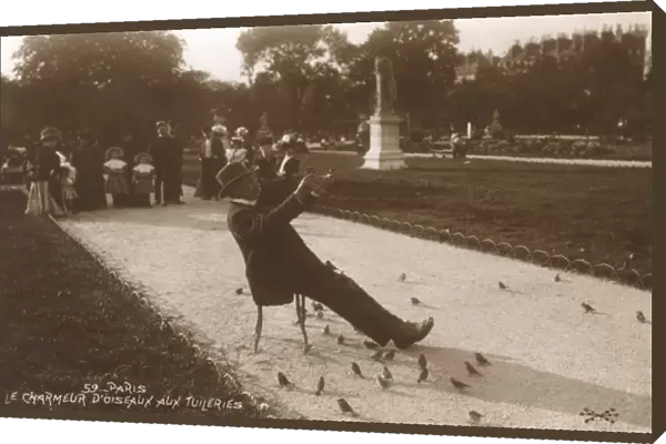 Bird charmer of the Tuileries Gardens