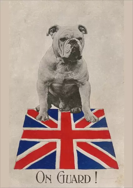 World War One Patriotic Postcard - Bulldog