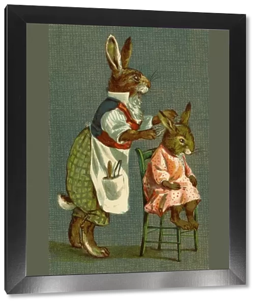 Haircut for Young Rabbit by g h Thompson