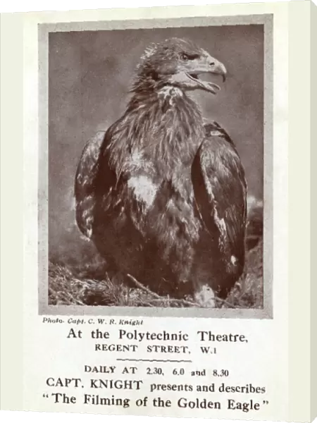 Filming of the Golden Eagle, Polytechnic Theatre, London