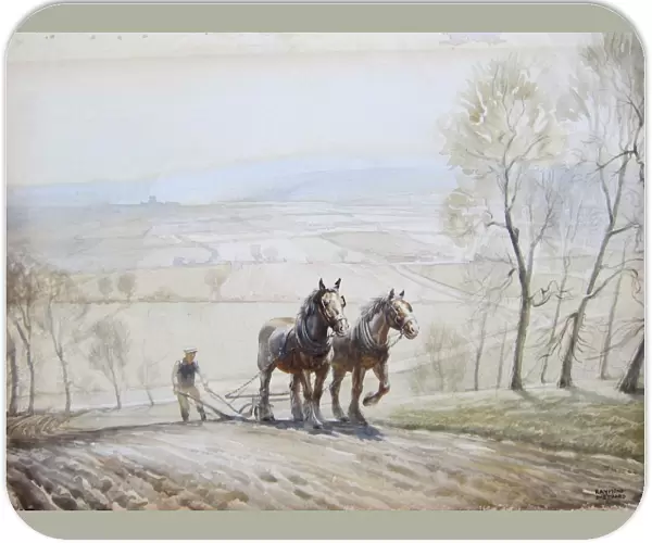 Ploughing with a horse team