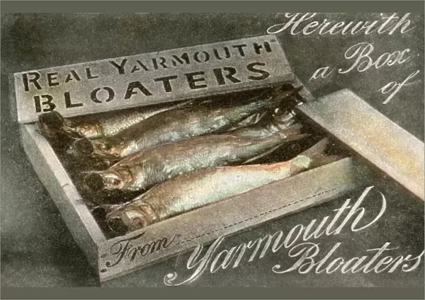 Box of Real Yarmouth Bloaters