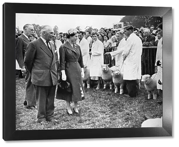 The Queen inspects prizewinning sheep