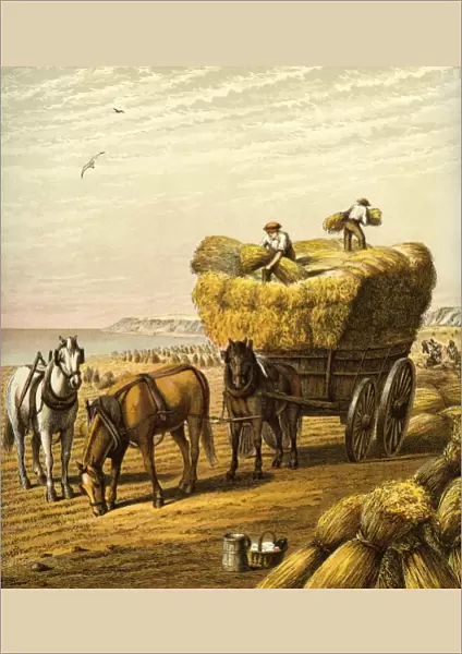 Victorian Farmyard (The harvest)