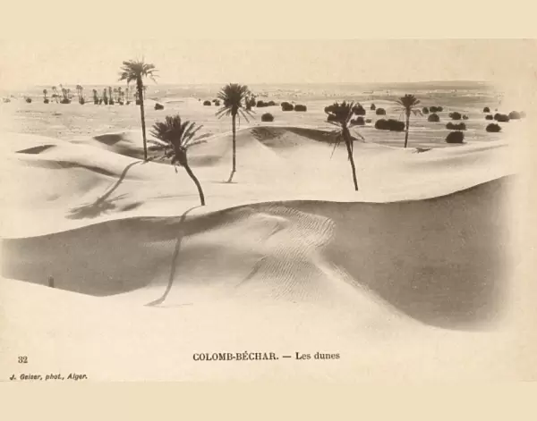 The dunes at Colomb-Bechar - Algeria