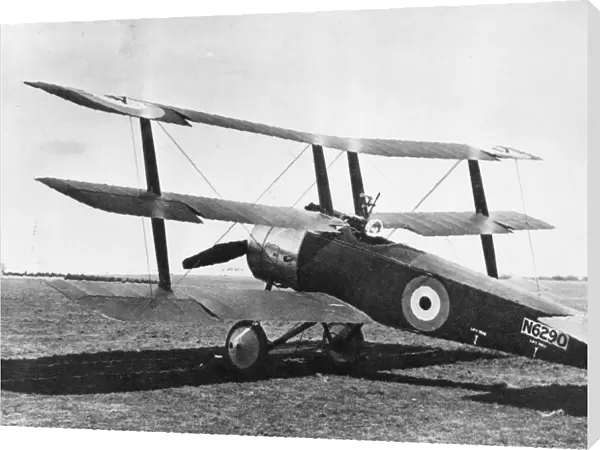 British Sopwith triplane on airfield, WW1