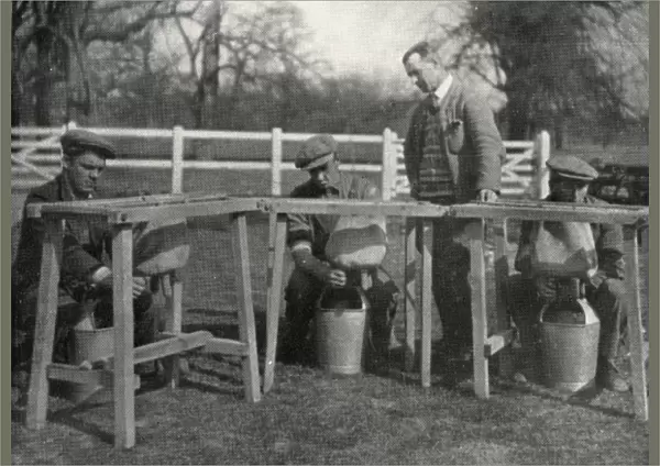 Instruction in milking at Claydon Training Centre, Suffolk