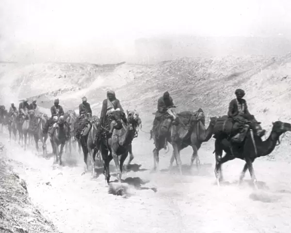 Desert Mounted Corps with camels, Jordan, WW1