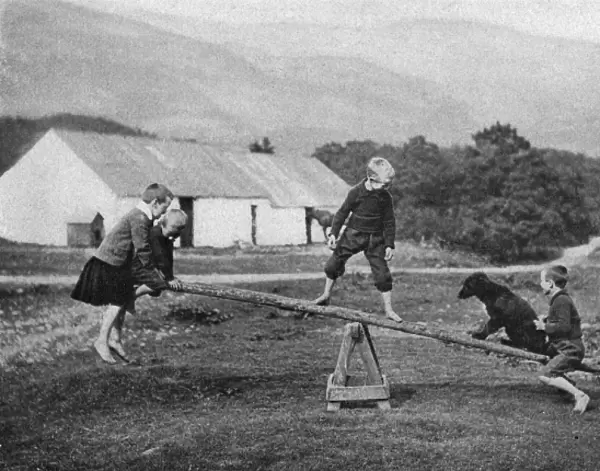 Children and a dog play on a seesaw