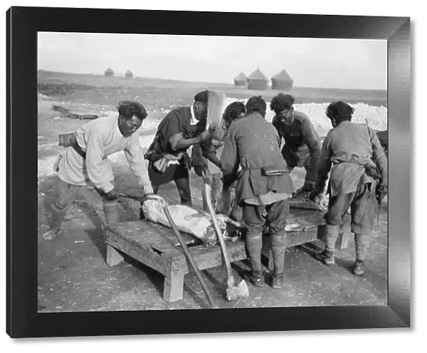 Manipur butchers near Arras, France, WW1