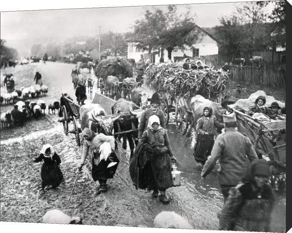 Serbian refugees during retreat, Macedonia, WW1