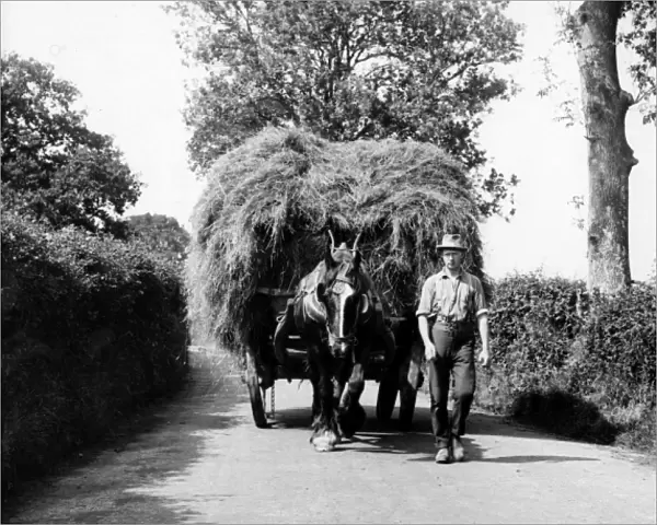 Dorset Hay Wain