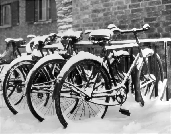 Snow-Covered Bicycles