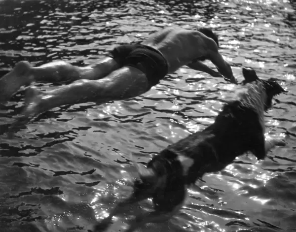 Diving Dude & Dog