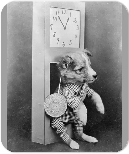 Dog with Clock