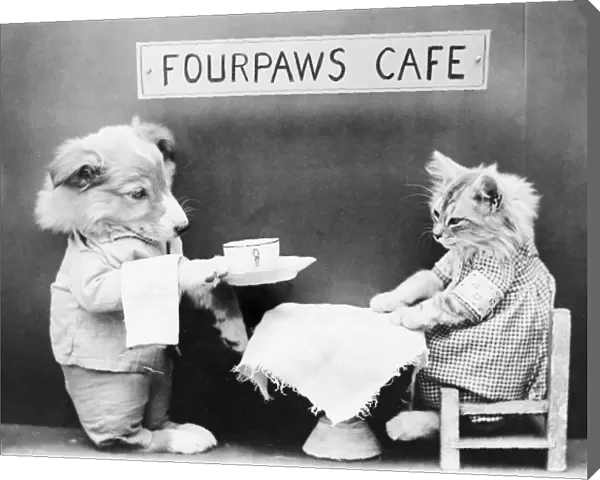 Fourpaws Cafe