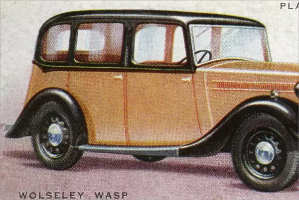 Wolseley Wasp