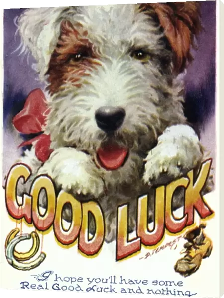 Dog Good Luck Card
