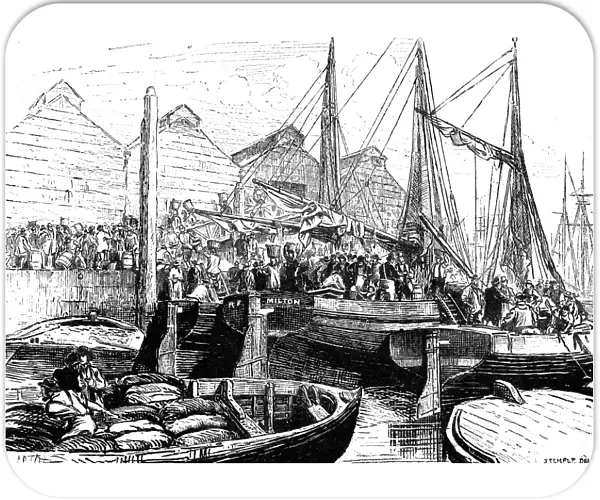 Oyster Boats at Billingsgate Market, London, 1877