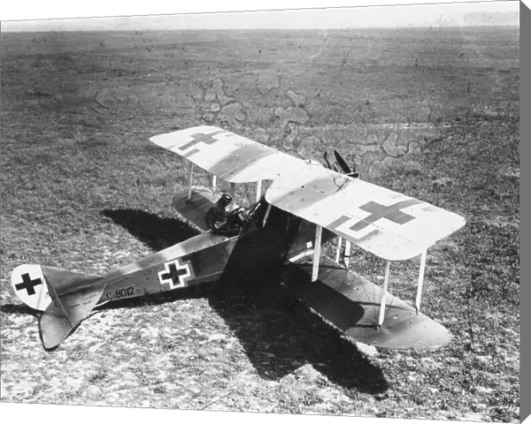 German Rumpler-Taube plane, WW1