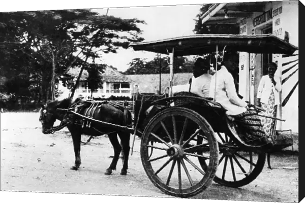 Javanese Horse Cab