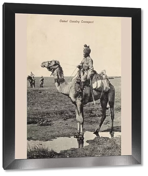 Indian Camel Cavalry