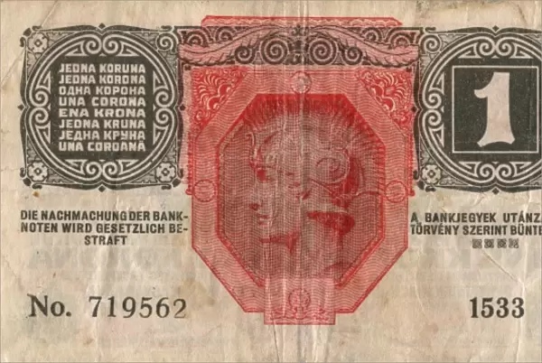 One krone note