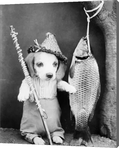 Fishing Dog