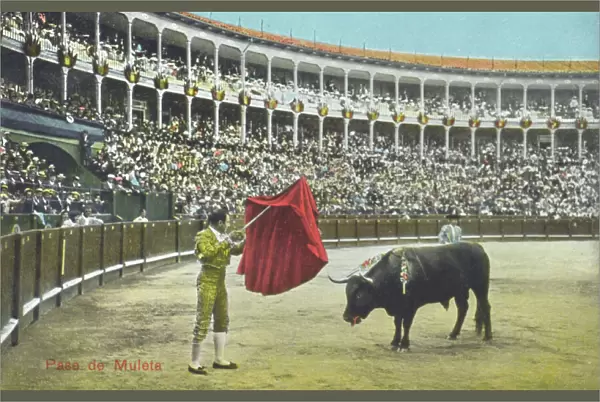 Spanish Bullfighting Series (7  /  12)