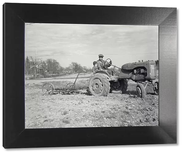 Farming 1950s