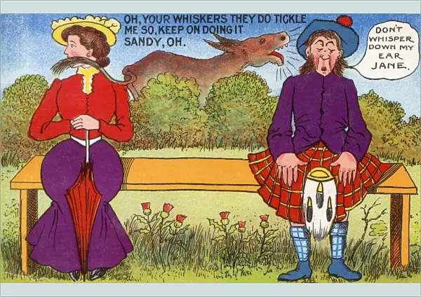 Ridiculous Scottish Comic Postcard