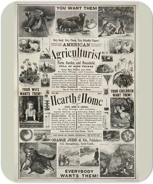 American agriculturist. Hearth and home