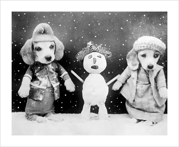 Two dogs and a snowman